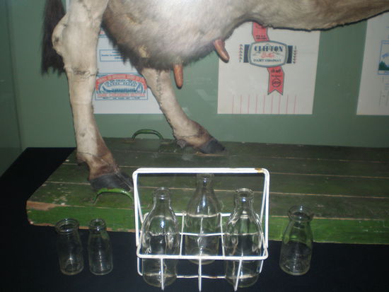 Hier im Te Papa Museum, welches sehr unfangreich und lehrreich ist.. hat uns sehr gut gefallen.