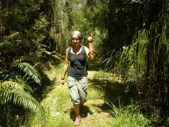 ..und wir haben wieder ein Track gefunden, dieses Mal im Urwald in Punakaiki...