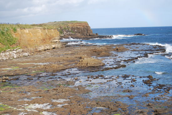 am suedlichsten Punkt in Waikawa, und sogar die Pinguine haben wir enteckt...