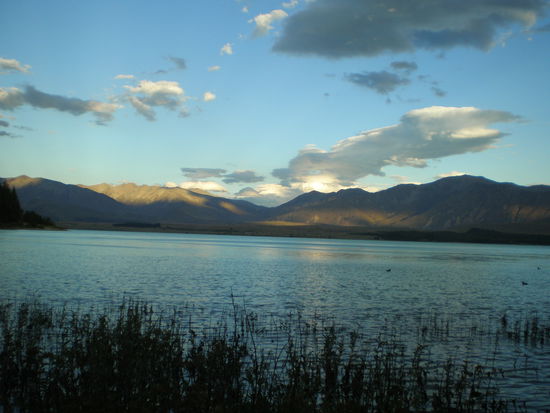 ...und dann die Aussicht auf den See Lake Tekapo