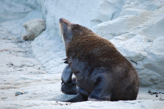 Komm wir gehen schwimmen....