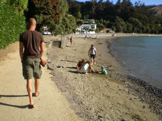 Hier in Akaroa am Beach...