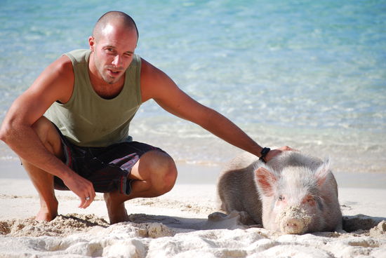 Ja wo sich die Schweine und Ich gute Nacht sagen. Nein wirklich Samoa ist noch ein Ort, wo alles frei rumlaeuft und sogar die Tiere gluecklich aussehen! 