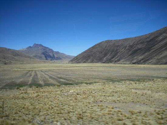 altiplano