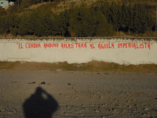 ¿Quo vadis Bolivia?