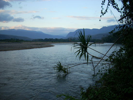 rio tuichi