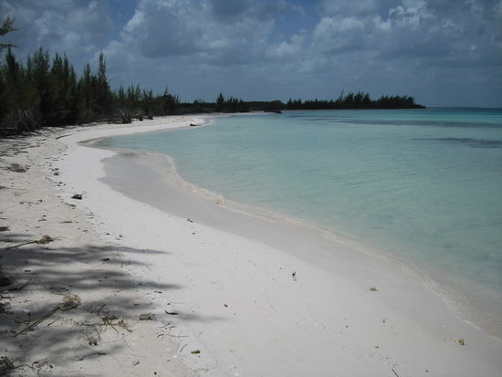 cayo jutias