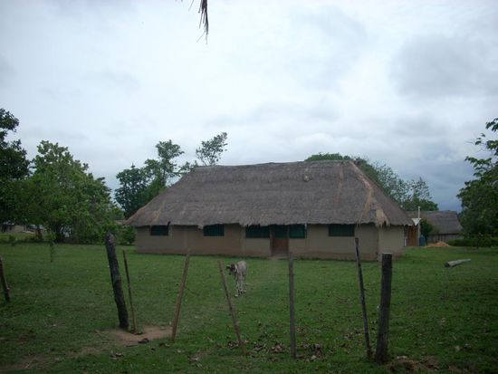 alojamiento plus kalb in florida