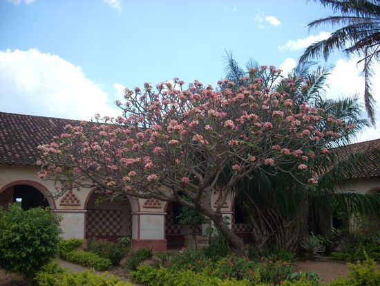 patio in san josé de chiquitos