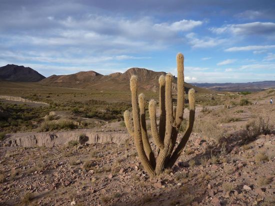 wilder westen inklusive