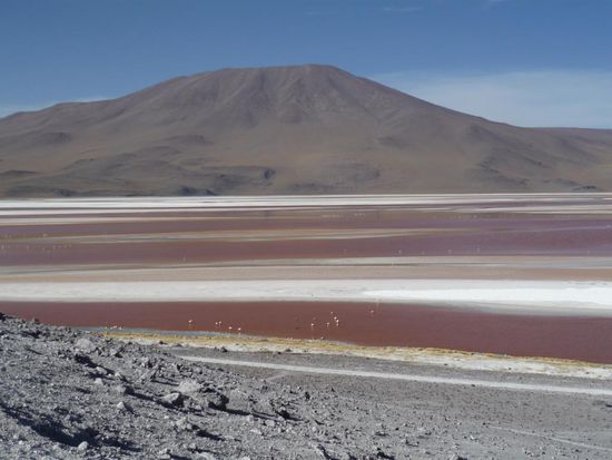 laguna colorada (rote lagune), die dazugehoerigen rosa flamingos sind nur als punkte erkennbar