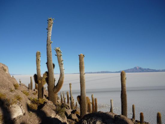 isla de incahuasi (isla de pescadores)