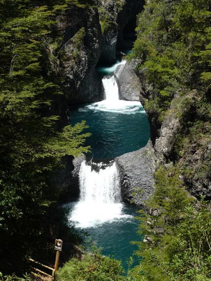 zwei "tassen" von siete tazas