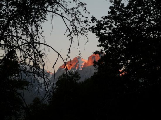 abendstimmung im dunklen wald