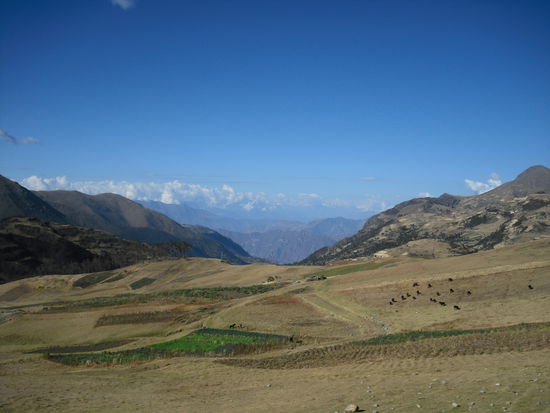 waehrend der busfahrt