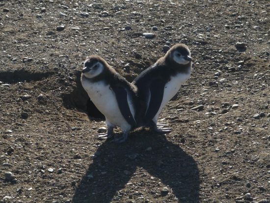 klasse erfindung so ein powaermer
