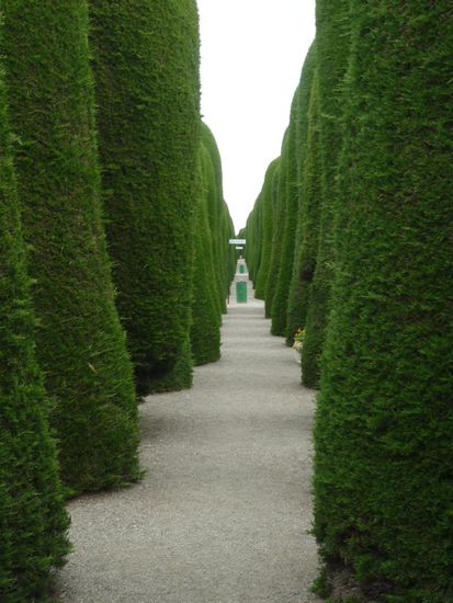 friedhof in punta arenas