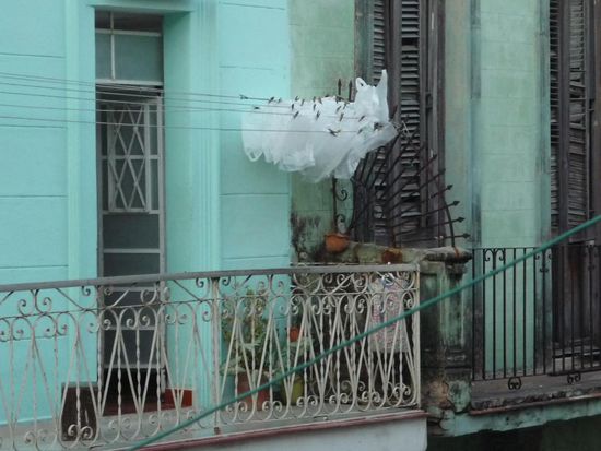 jabitas zum trocknen aufgehängt