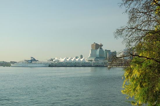 Blick vom Stanley Park zum Canada Place