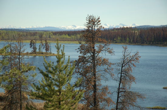 Auf der unbefestigten Strecke nach Big Creek