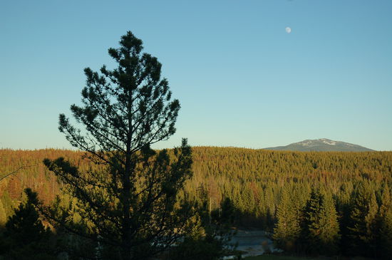 Abendstimmung auf unserem späten Spaziergang