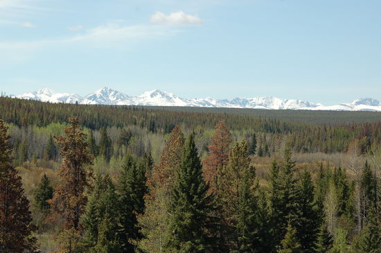 Der herrliche Ausblick über die Texas Flats