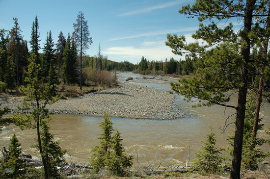 Abendessen bei dieser schönen Aussicht auf den Big Creek River