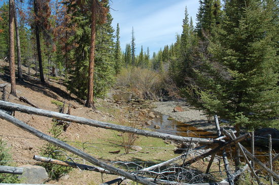 Ein einsamer schöner Platz mitten im Wald