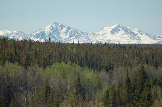 Die herrlichen Berge am Horizont
