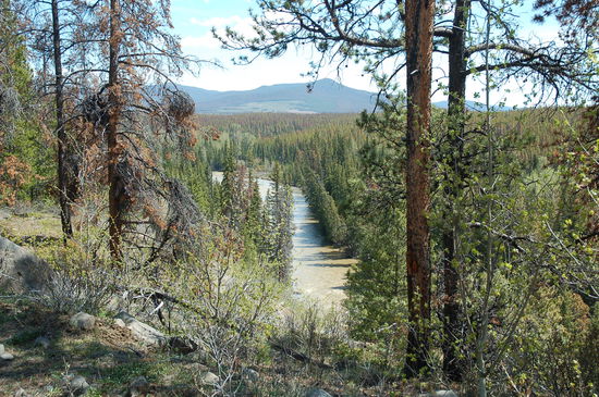 Der Big Creek River auf dem Rückweg