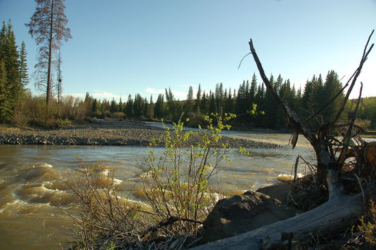 Abendstimmung am Big Creek