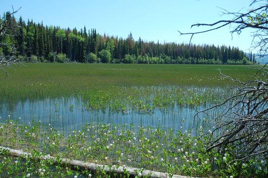 Unterwegs entdecken wir diese schöne Bucht