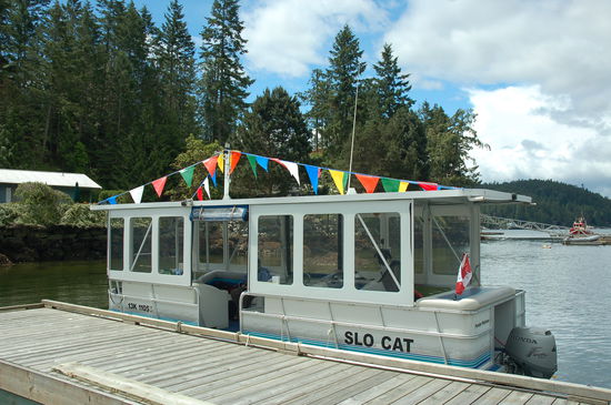 Das ist Slo Cat - unser Ausflugsschiff
