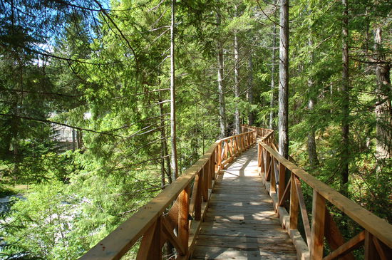 Der schöne Weg durch den Wald
