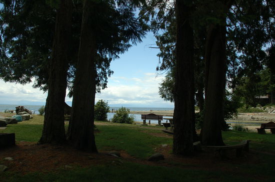 Zweiter Besuch im Roberts Creek Provencial Park