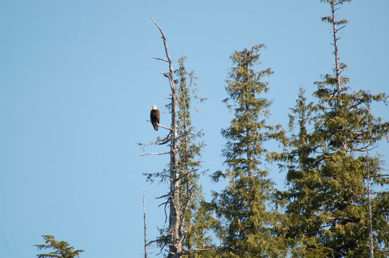 Ein herrlicher Anblick...