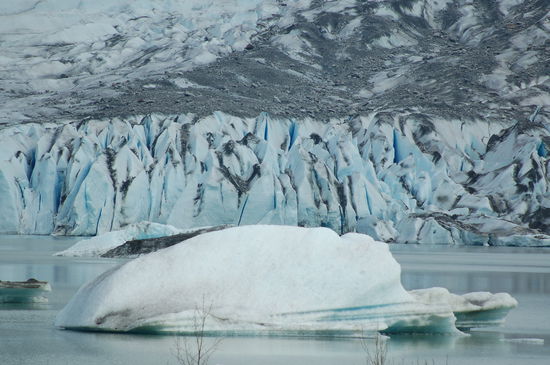 Auf dem See schwimmen Eisberge