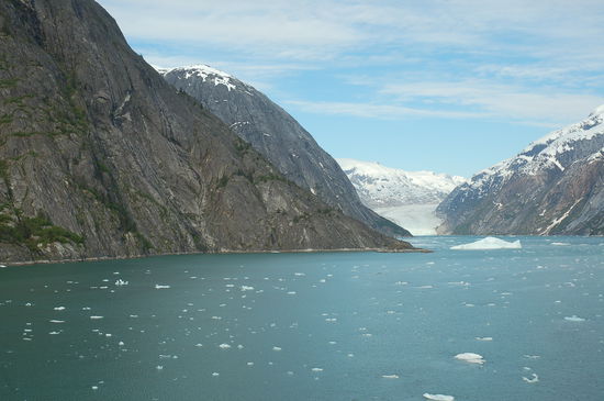 Und dann sehen wir ... den majestätischen Dawes Glacier!