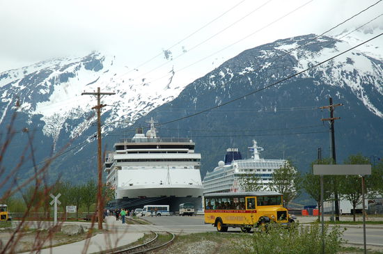 Die Riesen der Meere überragen alles