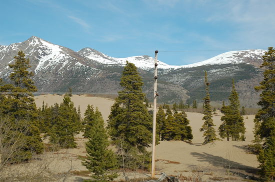 Die kleinste Wüste der Welt ... im Yukon!