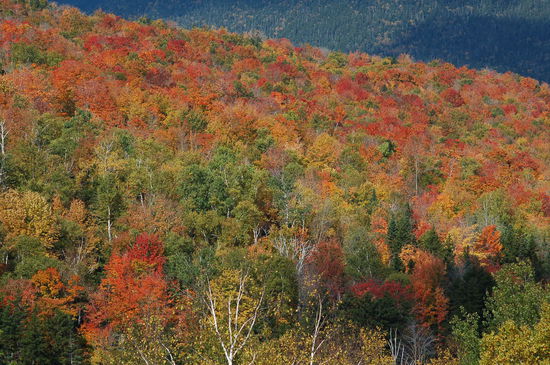 und erst die Farben des Herbstes bei Sonnenschein... unglaublich!