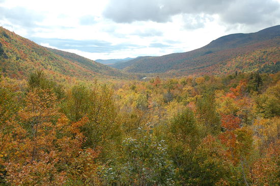 Blick die Pinkham Notch hinunter