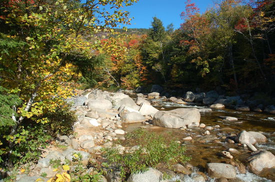 kleine Kletterpartie am Swift River