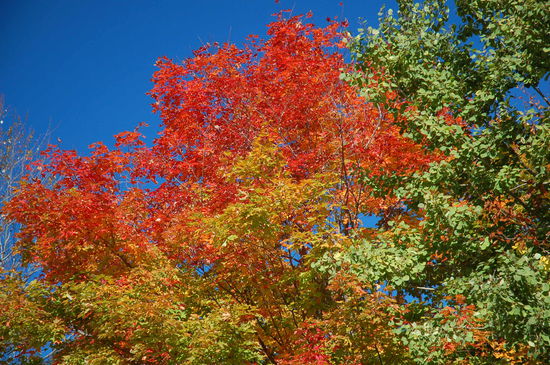 Wow... was für Farben!