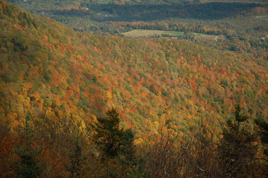 was für ein Anblick...