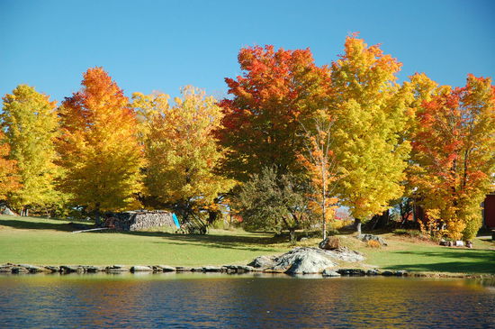 wir können es kaum glauben ...