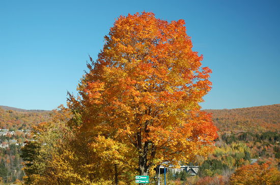 das war ein schöner Ausflug!