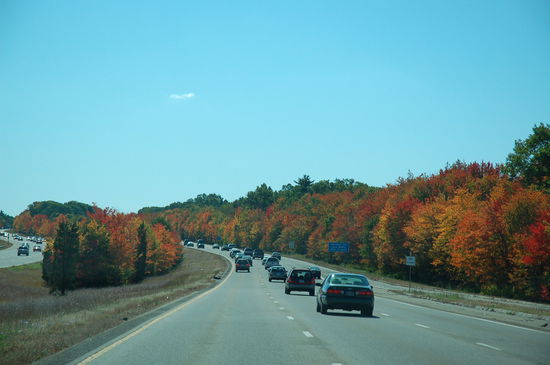 Ein Farbenmeer säumt den Freeway