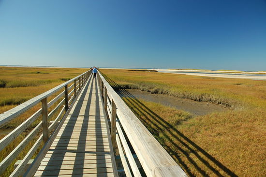 Spaziergang durchs Naturschutzgebiet