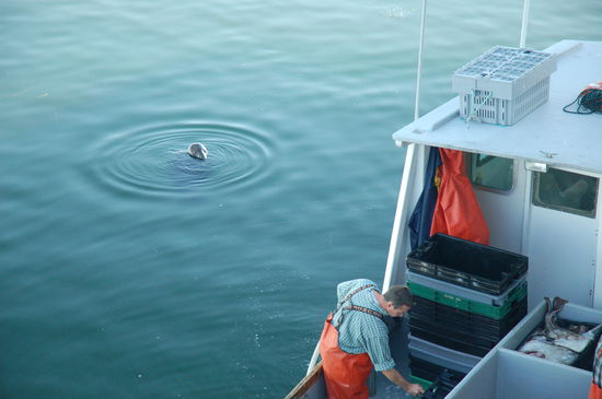 aha ... wir entdecken den ersten neugierigen Besucher